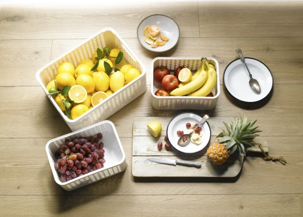 ליפסקי תמונה 2