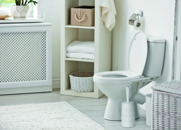 ליפסקי תמונה 3